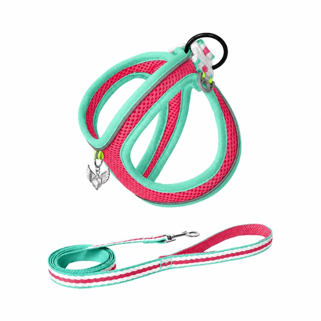 Adjustable Dog Harness with 4.6-ft Leash for Small Dogs