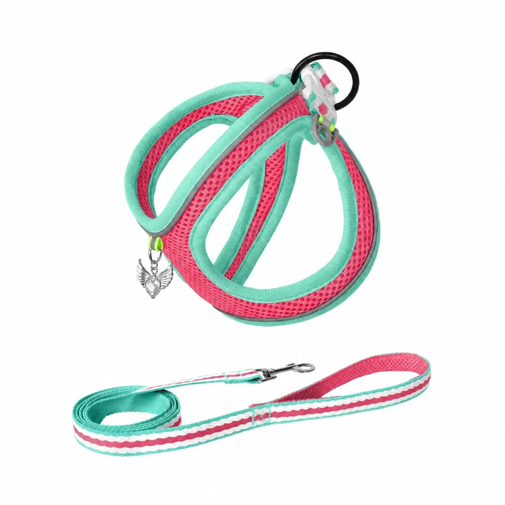 Adjustable Dog Harness with 4.6-ft Leash for Small Dogs