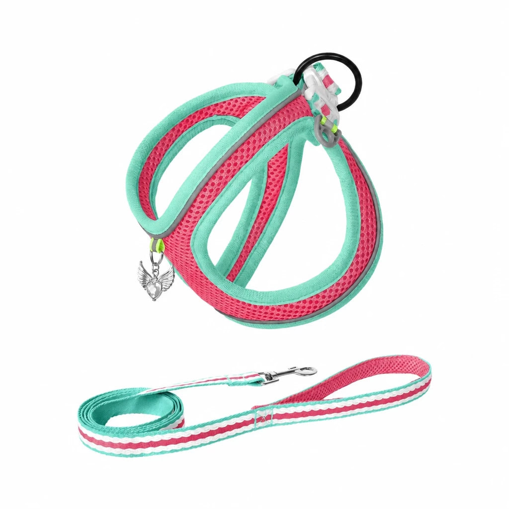 Adjustable Dog Harness with 4.6-ft Leash for Small Dogs