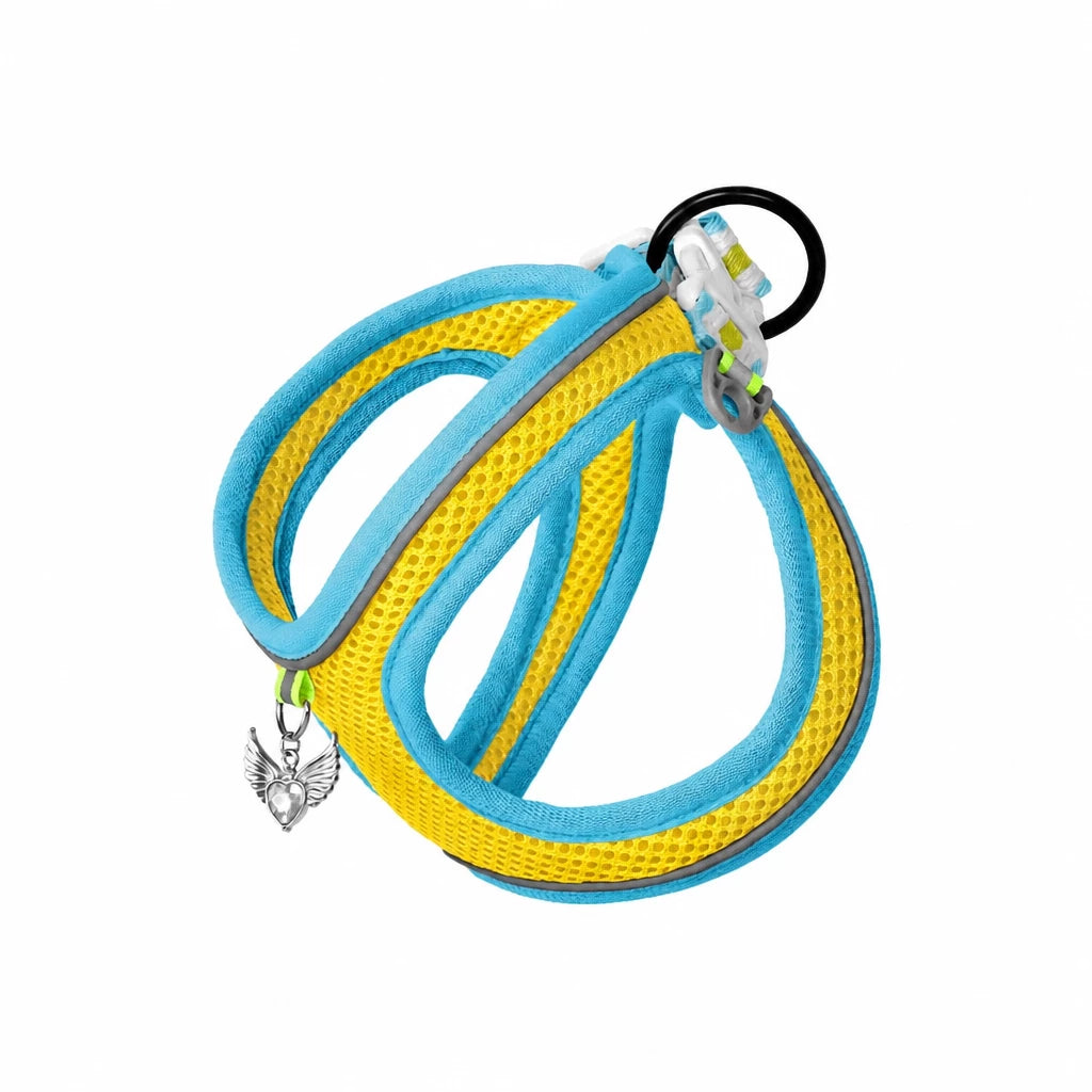 Adjustable Dog Harness with 4.6-ft Leash for Small Dogs