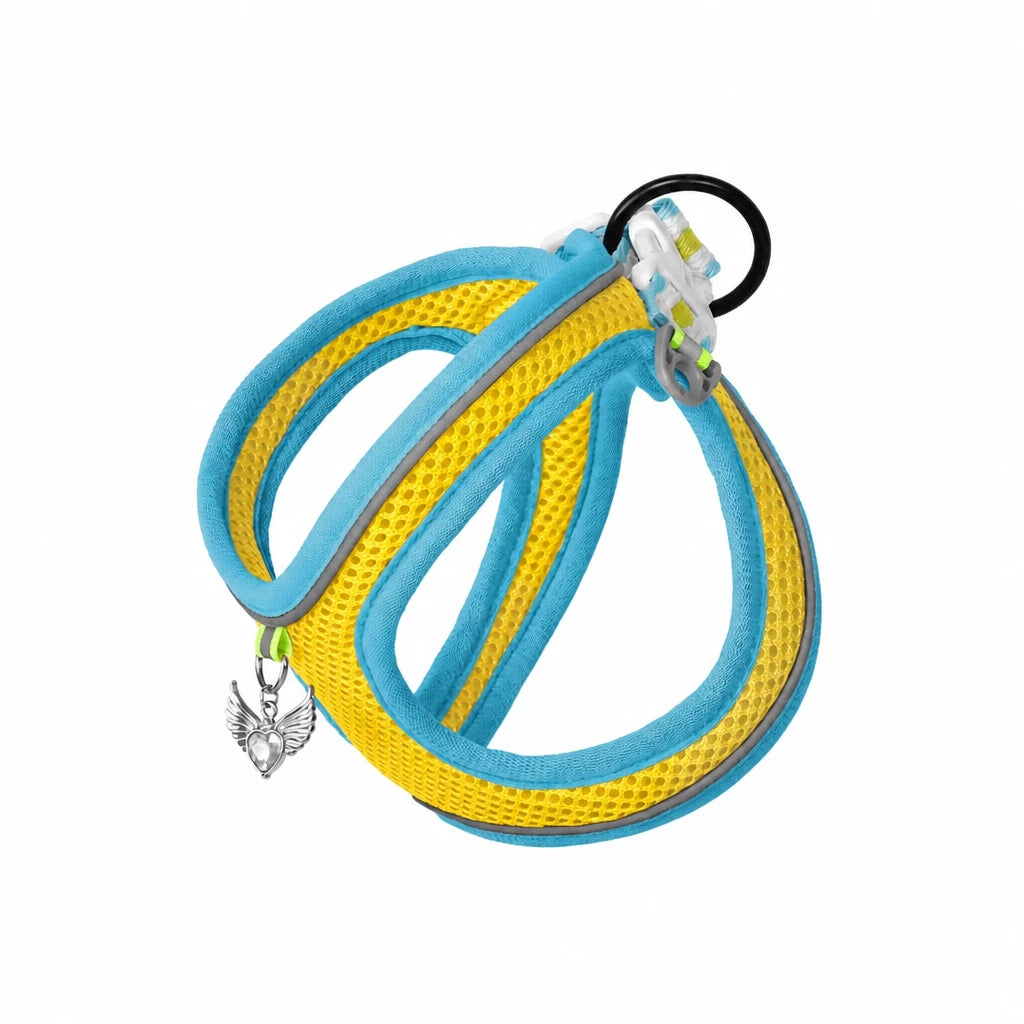 Adjustable Dog Harness with 4.6-ft Leash for Small Dogs
