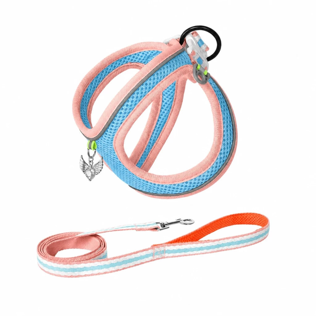 Adjustable Dog Harness with 4.6-ft Leash for Small Dogs