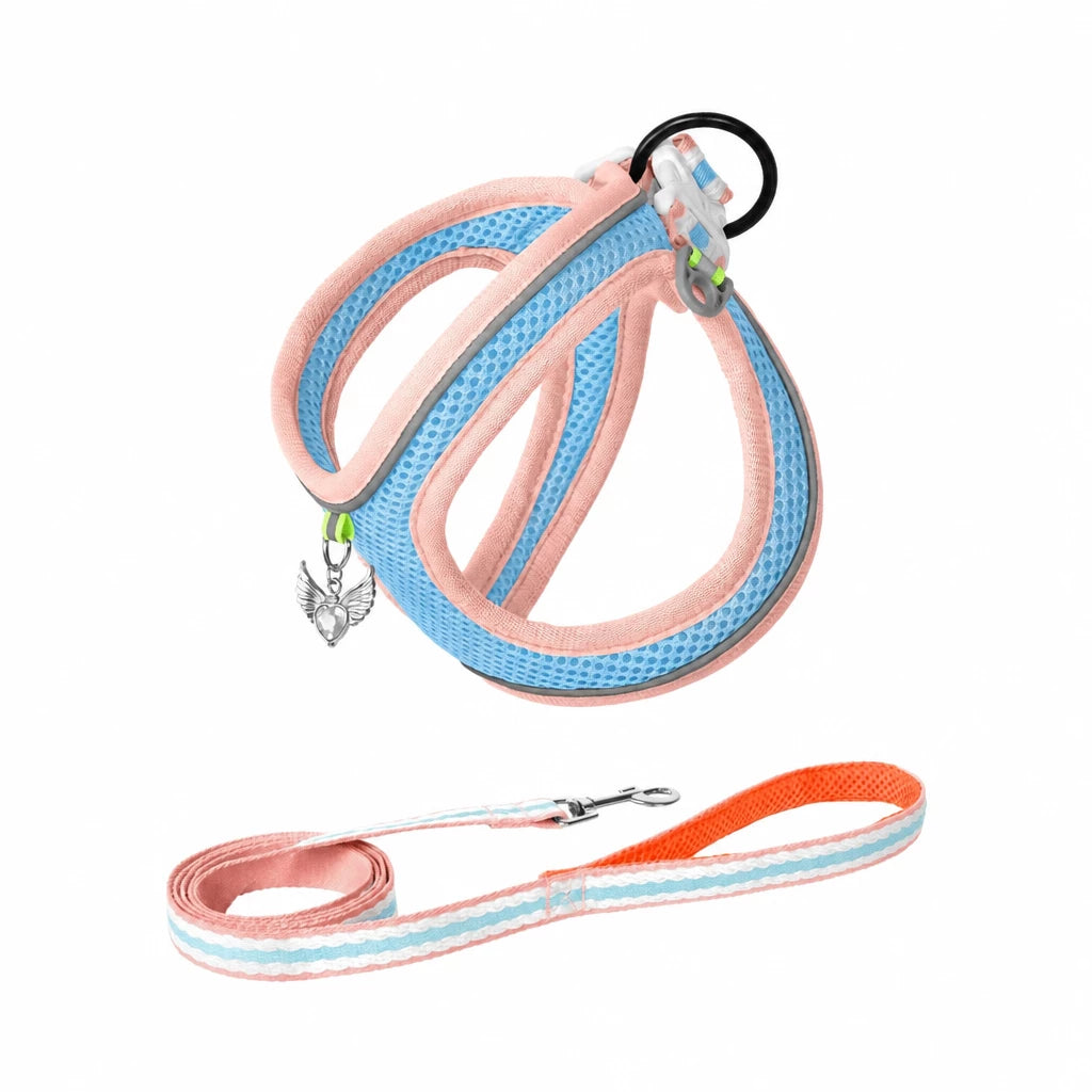Adjustable Dog Harness with 4.6-ft Leash for Small Dogs