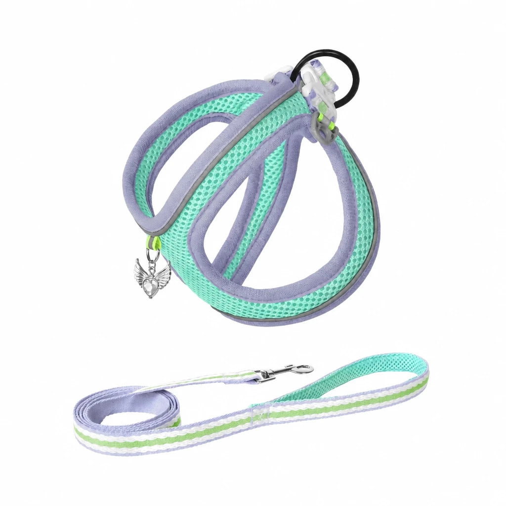 Adjustable Dog Harness with 4.6-ft Leash for Small Dogs