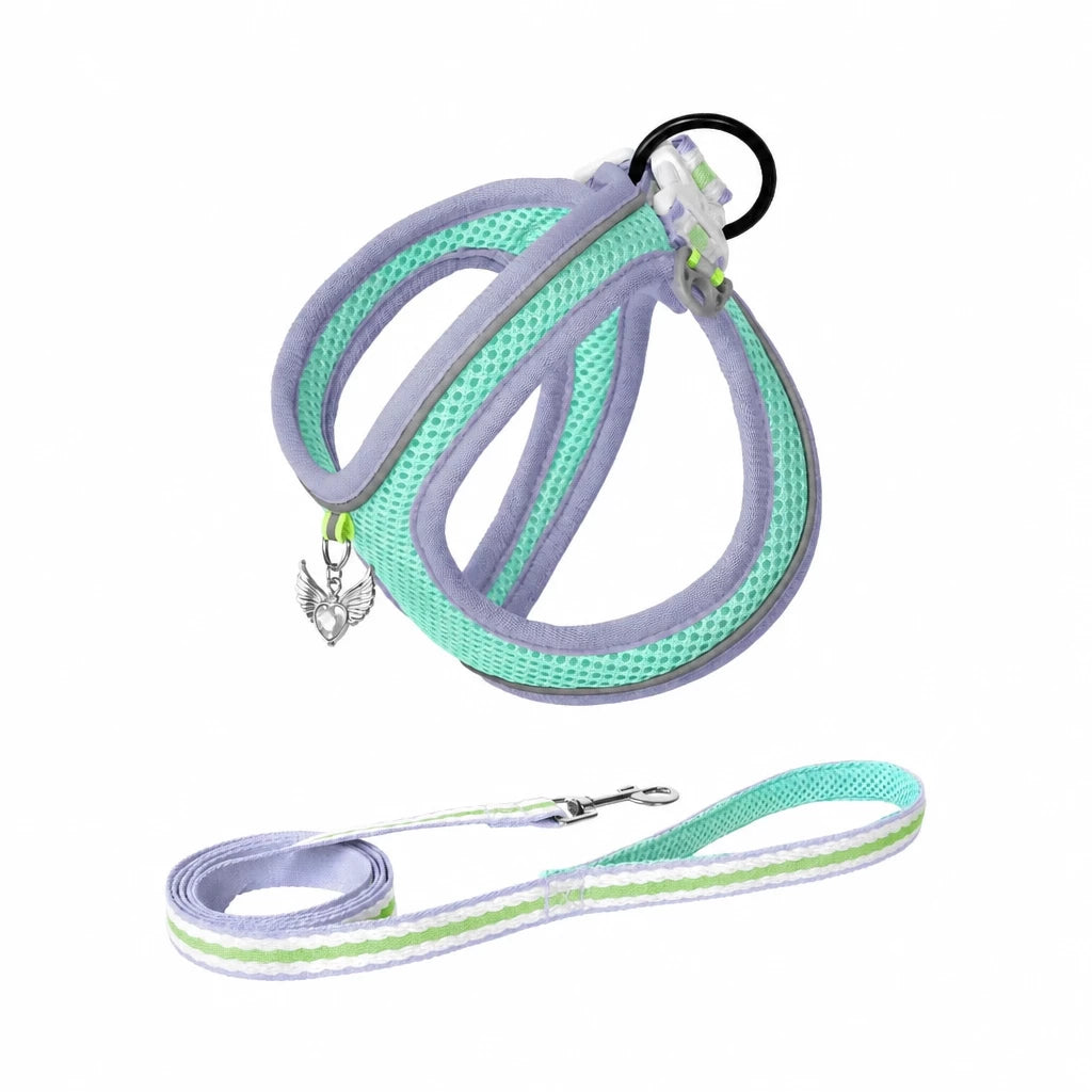 Adjustable Dog Harness with 4.6-ft Leash for Small Dogs