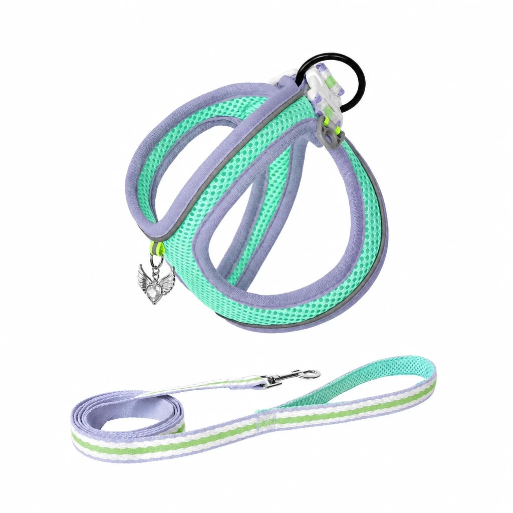 Adjustable Dog Harness with 4.6-ft Leash for Small Dogs