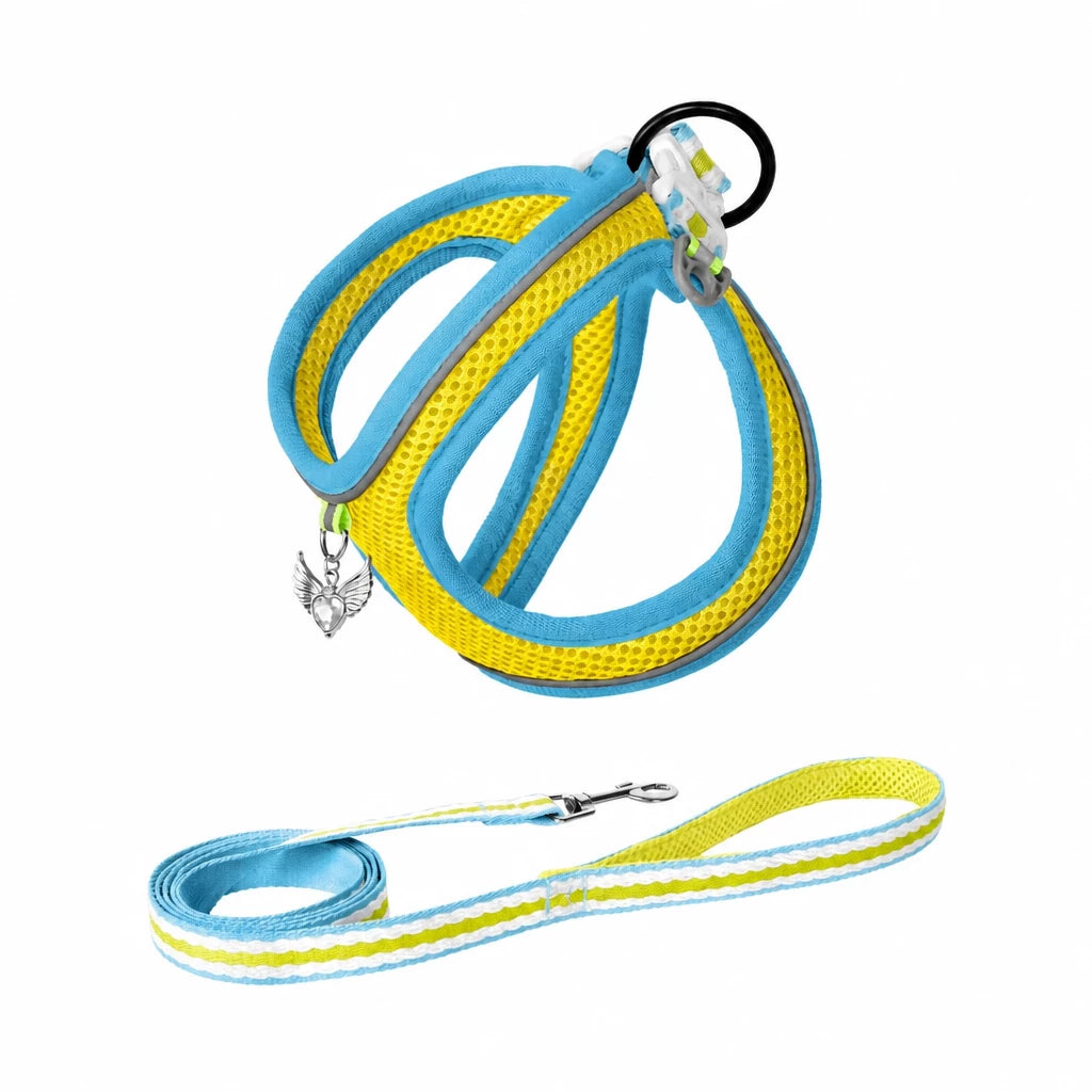 Adjustable Dog Harness with 4.6-ft Leash for Small Dogs