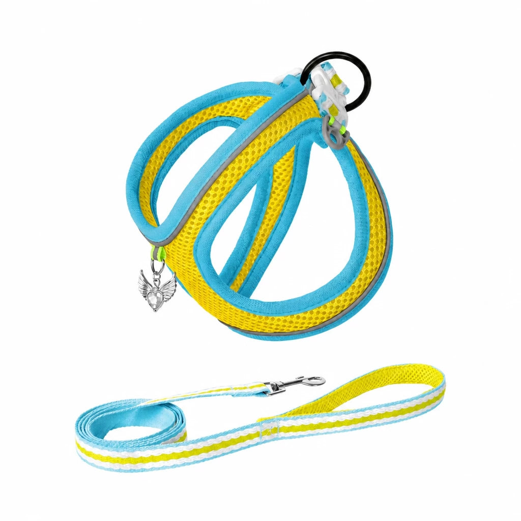 Adjustable Dog Harness with 4.6-ft Leash for Small Dogs