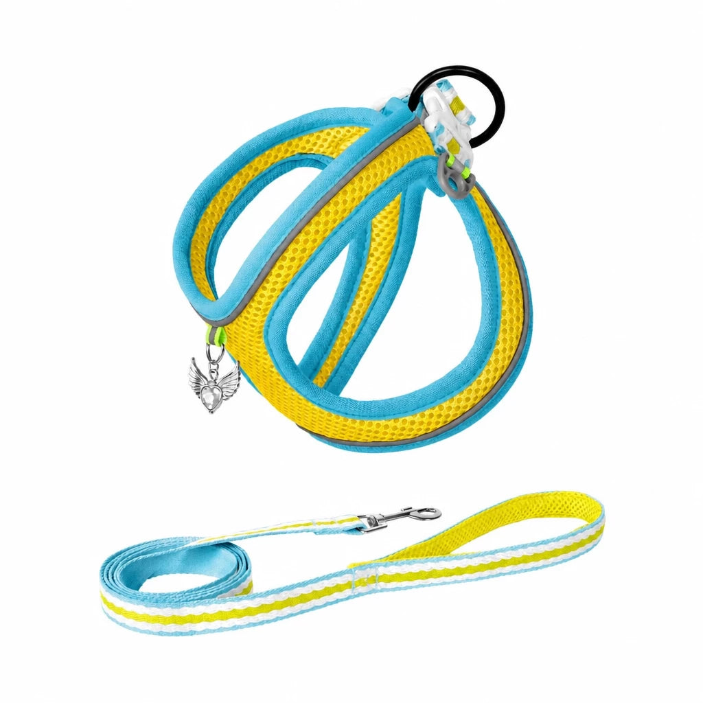 Adjustable Dog Harness with 4.6-ft Leash for Small Dogs