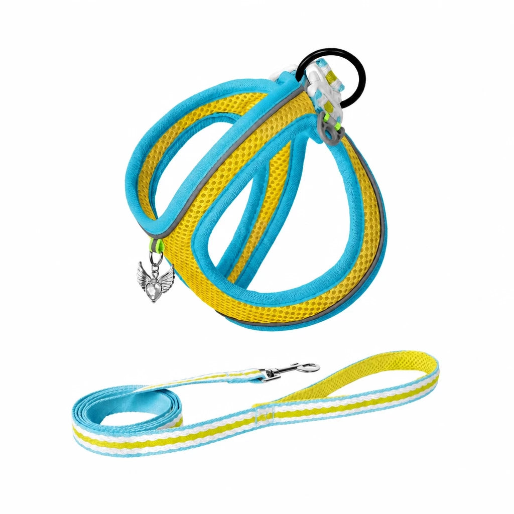 Adjustable Dog Harness with 4.6-ft Leash for Small Dogs