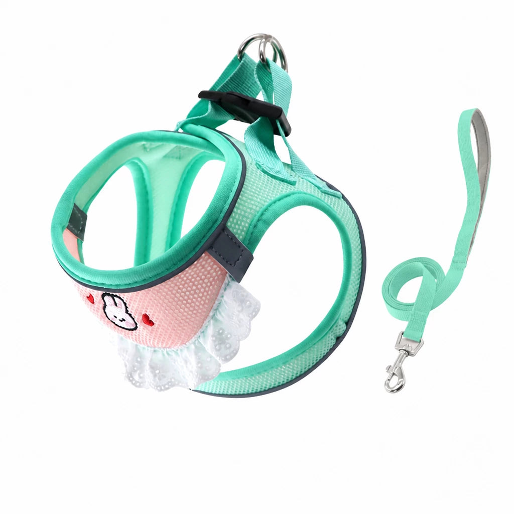 Nylon Dog & Cat Harness and Leash for Everyday Walks