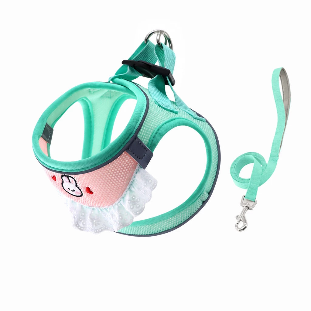 Nylon Dog & Cat Harness and Leash for Everyday Walks