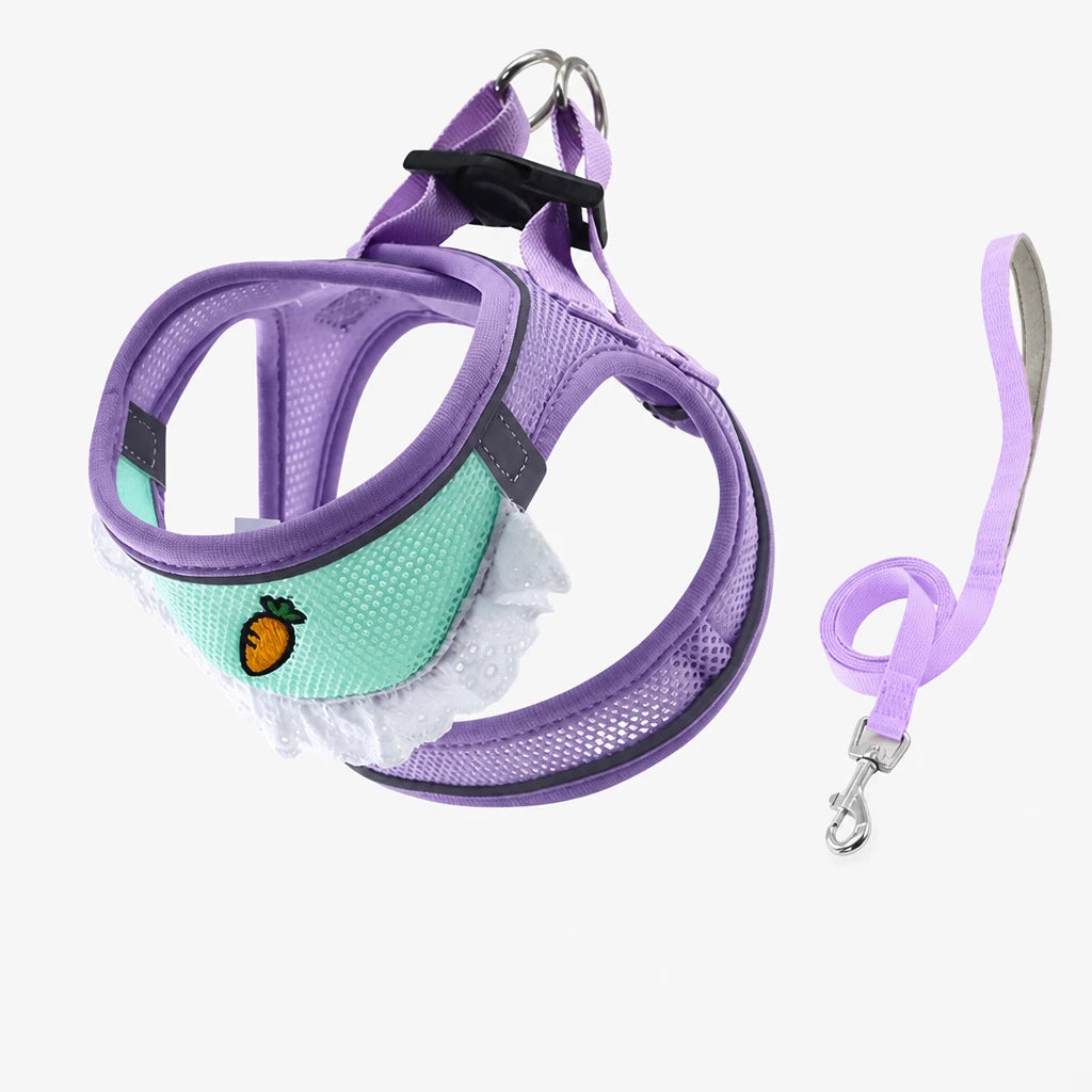 Nylon Dog & Cat Harness and Leash for Everyday Walks