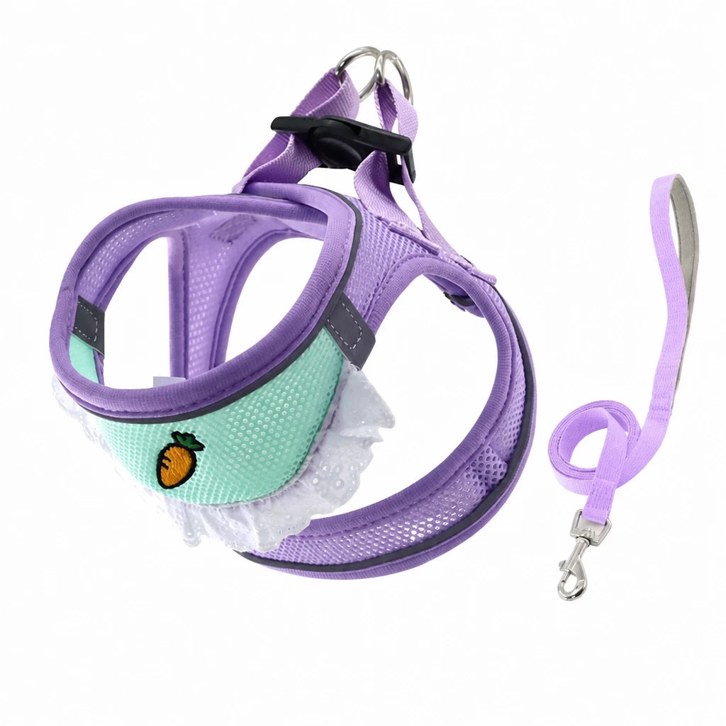 Nylon Dog & Cat Harness and Leash for Everyday Walks