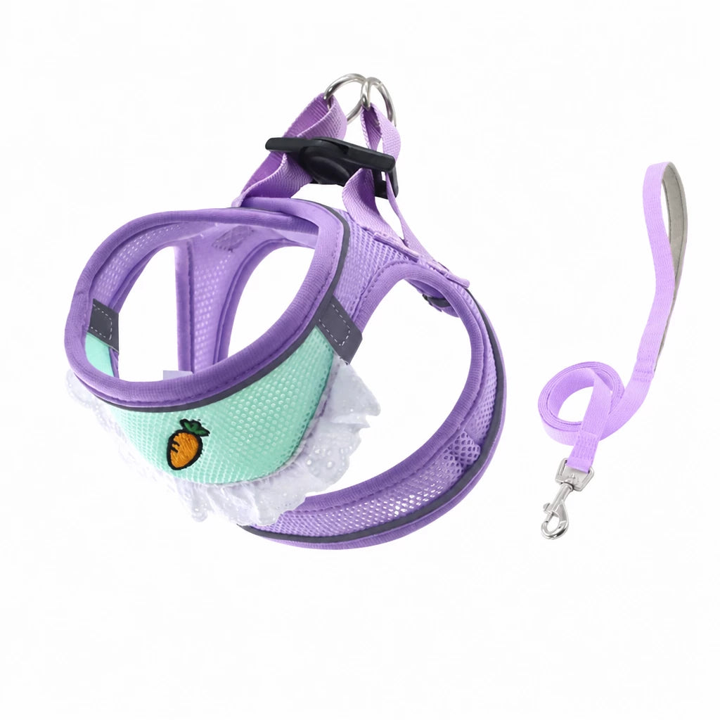 Nylon Dog & Cat Harness and Leash for Everyday Walks