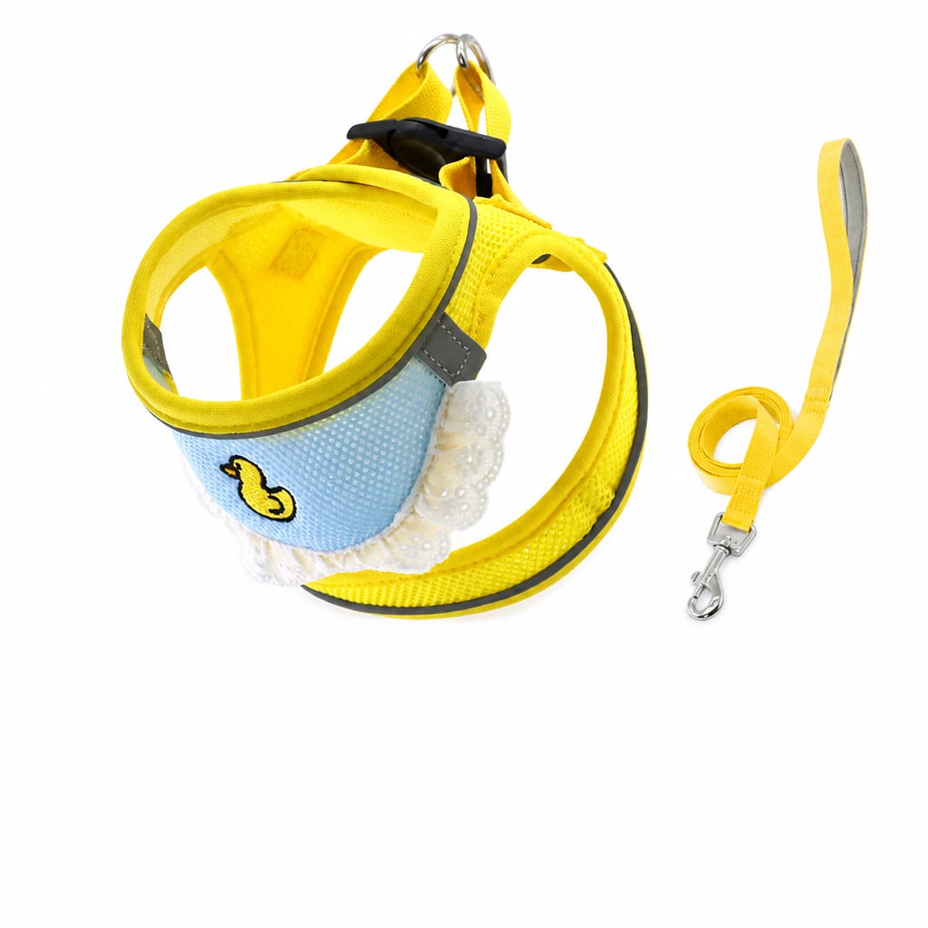Nylon Dog & Cat Harness and Leash for Everyday Walks