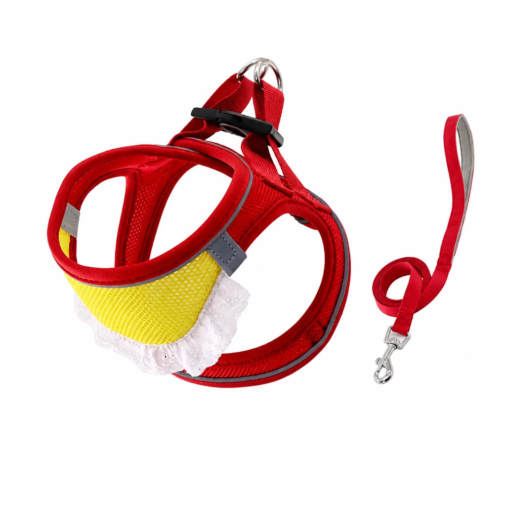 Nylon Dog & Cat Harness and Leash for Everyday Walks