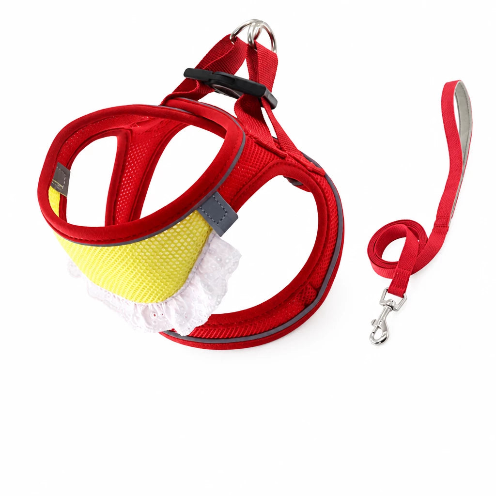 Nylon Dog & Cat Harness and Leash for Everyday Walks