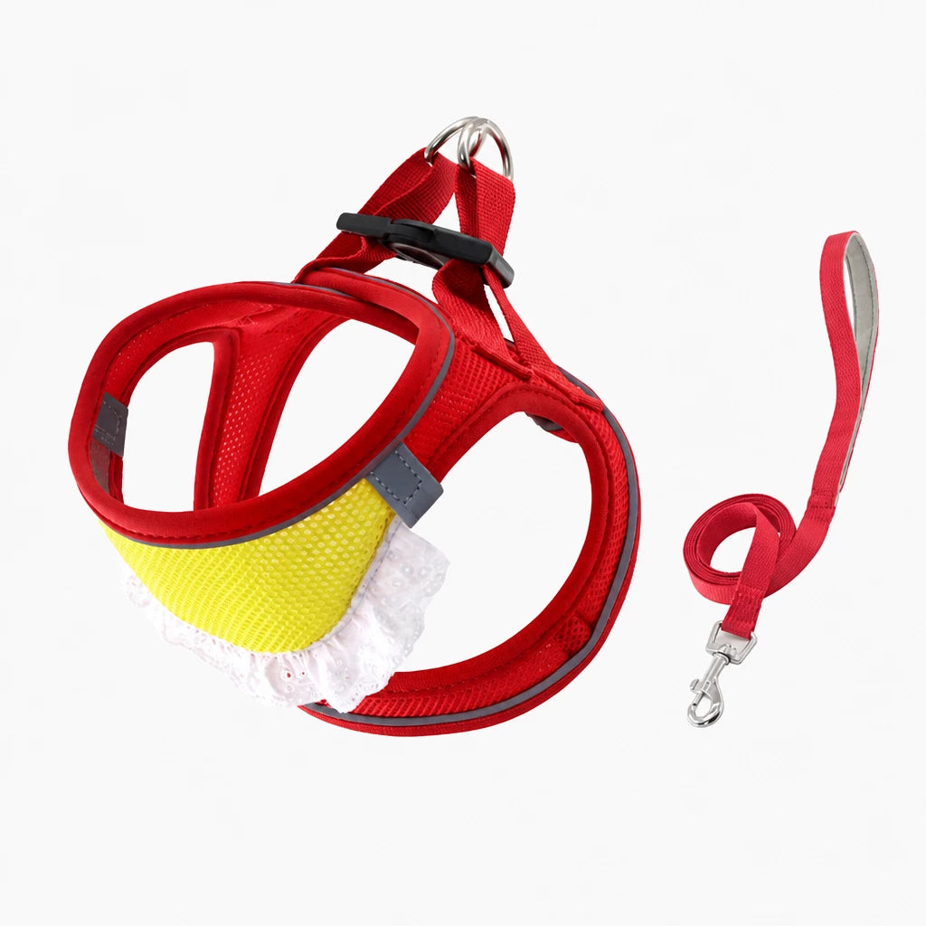 Nylon Dog & Cat Harness and Leash for Everyday Walks