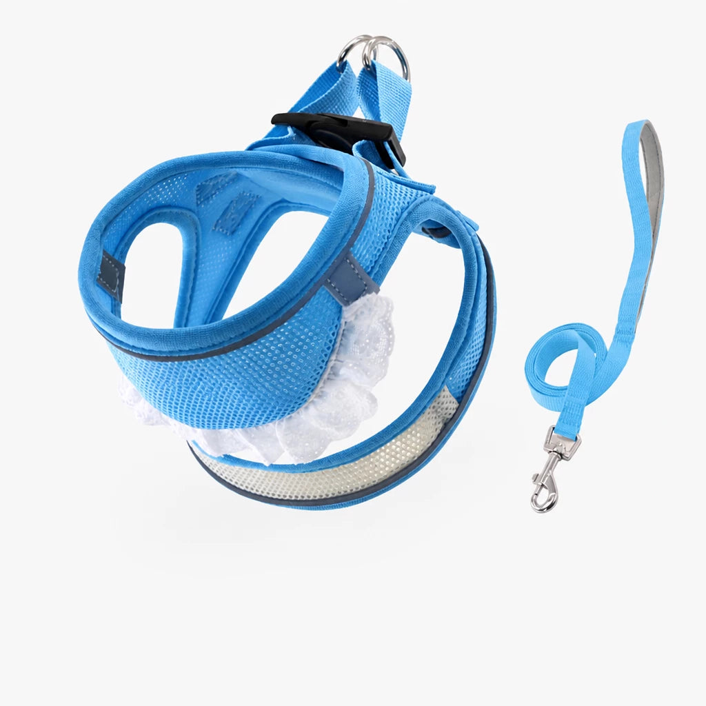 Nylon Dog & Cat Harness and Leash for Everyday Walks
