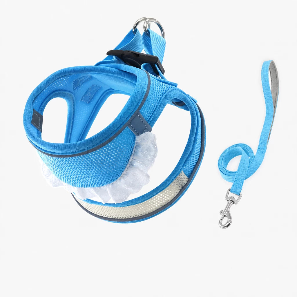 Nylon Dog & Cat Harness and Leash for Everyday Walks