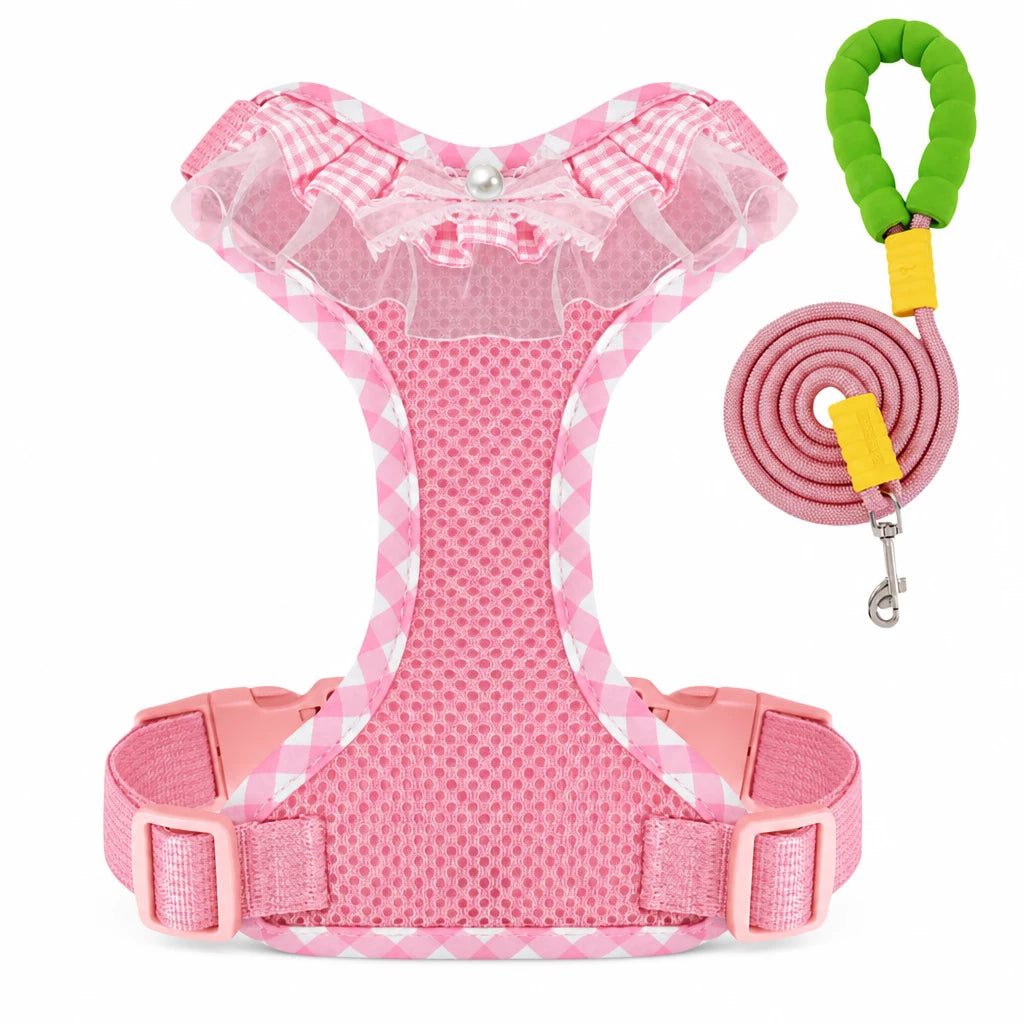 Dog Harness with 6.6-Ft Leash