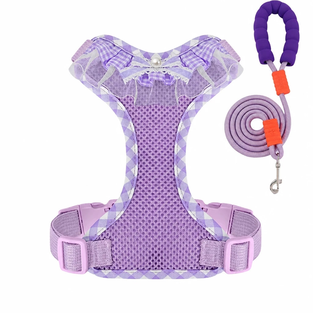Dog Harness with 6.6-Ft Leash