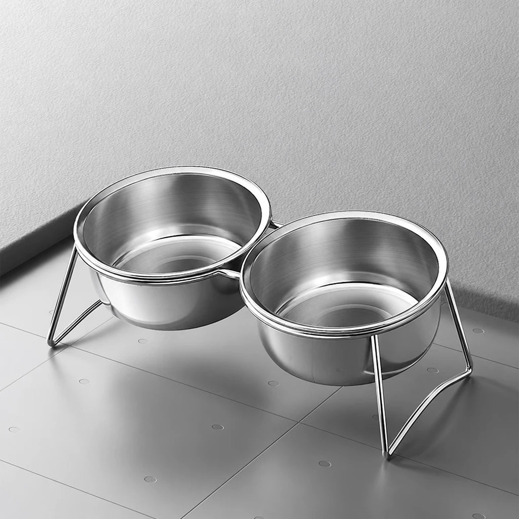 Stainless Steel Double Pet Bowls with Elevated Stand