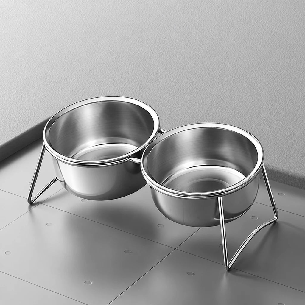 Stainless Steel Double Pet Bowls with Elevated Stand