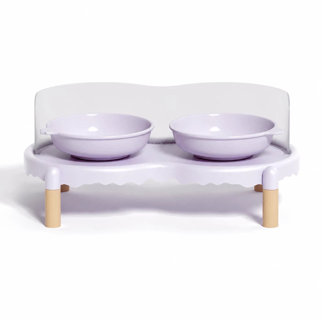 Elevated Ceramic Pet Bowl Set with a Double-Bowl Stand