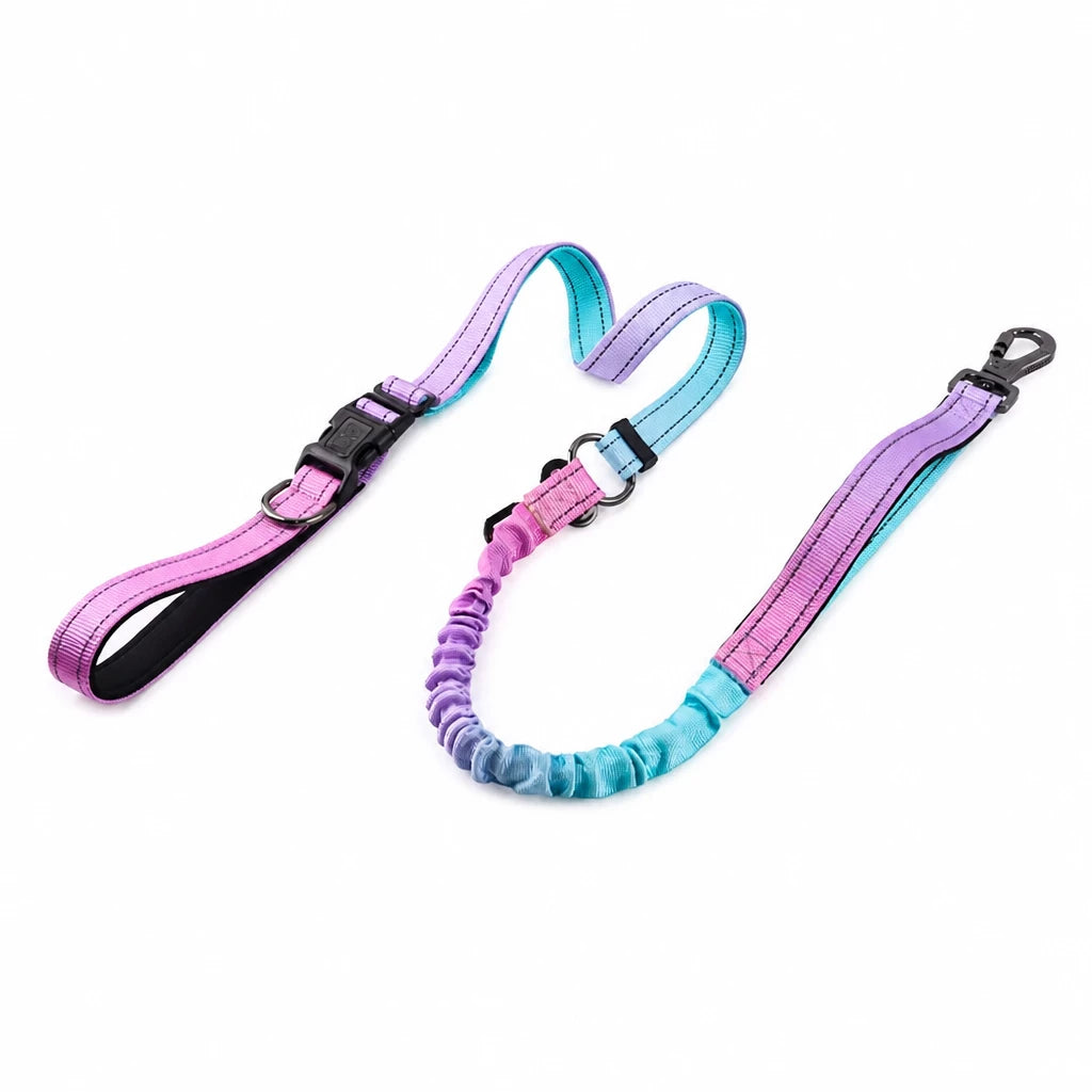 Crossbody Elastic Dog Leash
