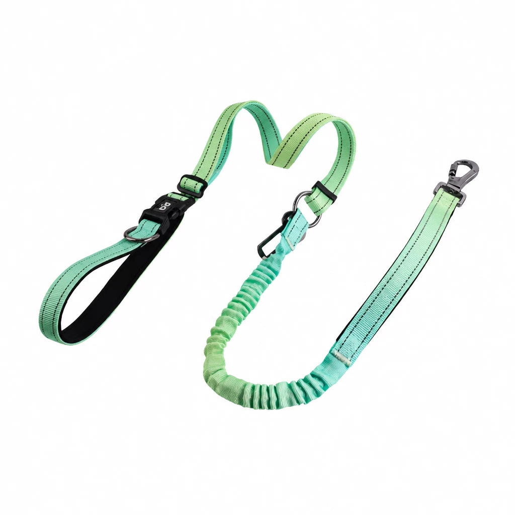 Crossbody Elastic Dog Leash