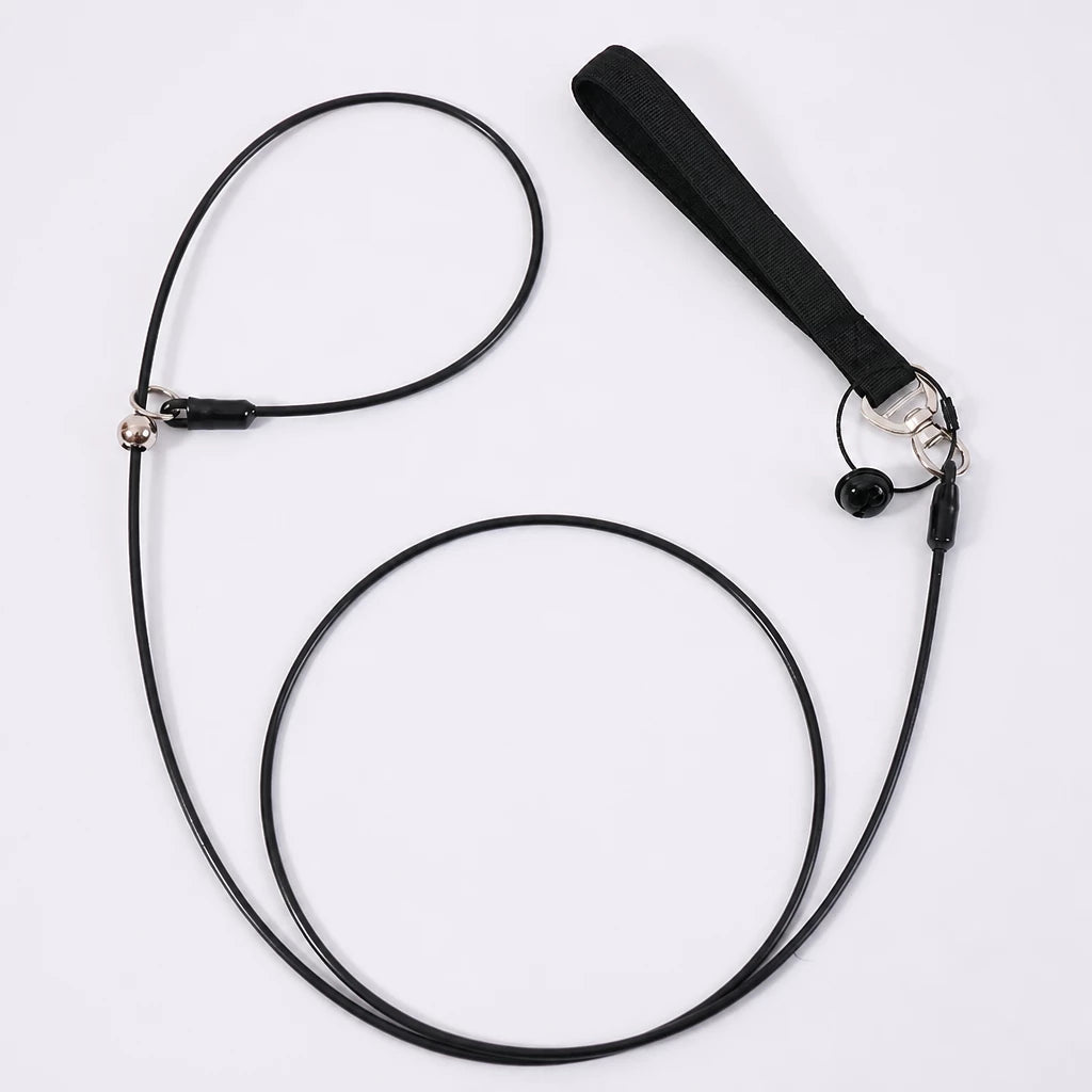 Steel Wire Dog Training Leash