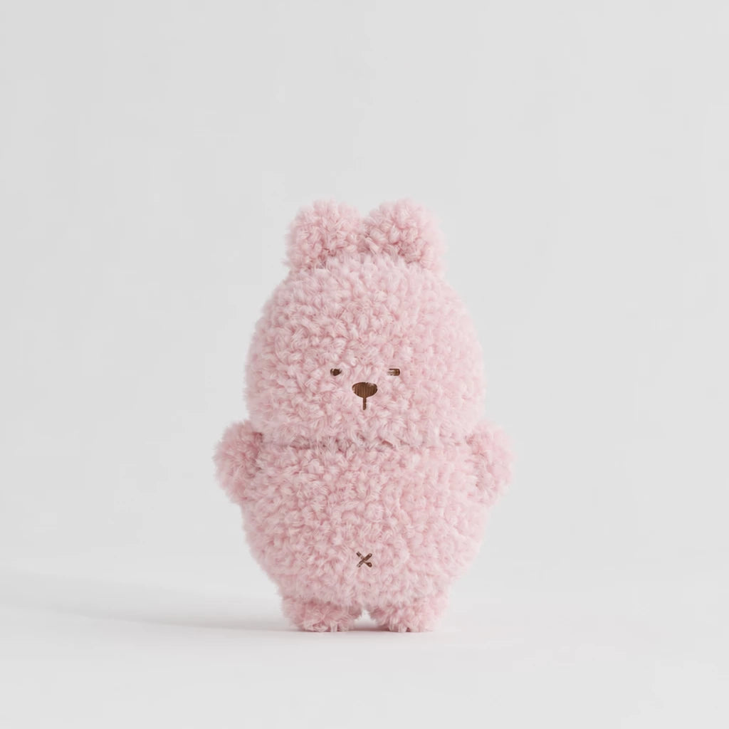 Plush Squeaky Dog Toy