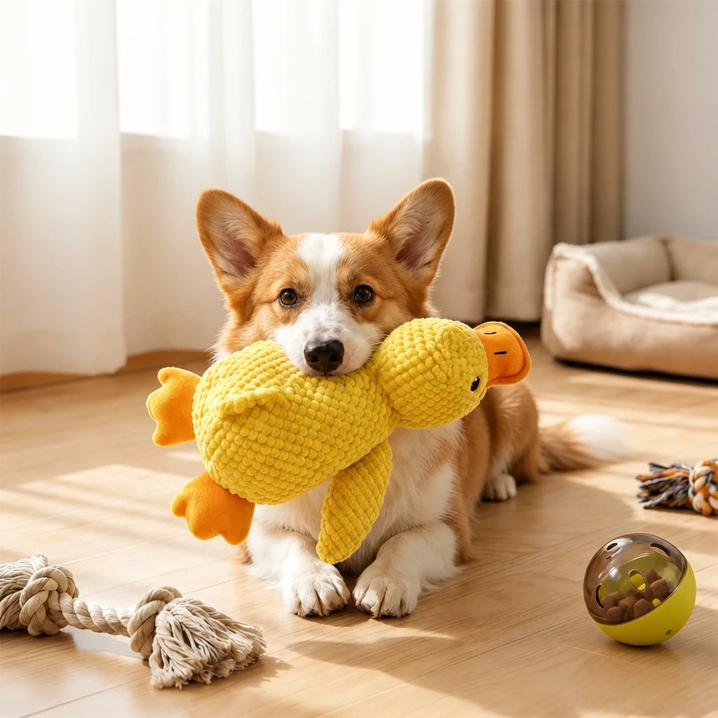 Squeaky Mop Dog Toy for Small and Medium Dogs