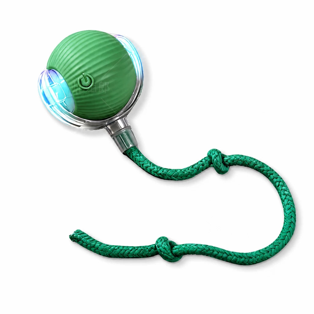 Interactive Cat Toy Ball