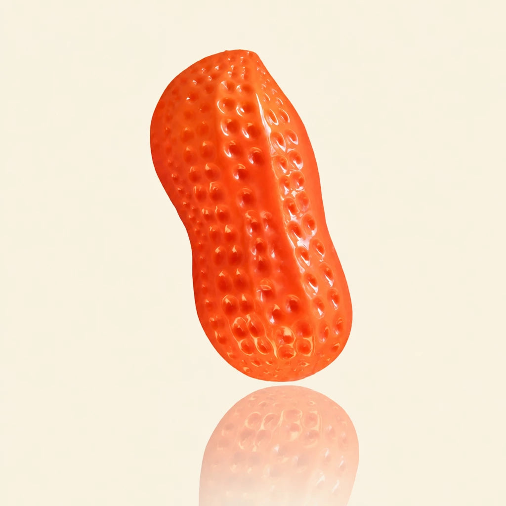 Squeaky Peanut-Shaped Dog Toy