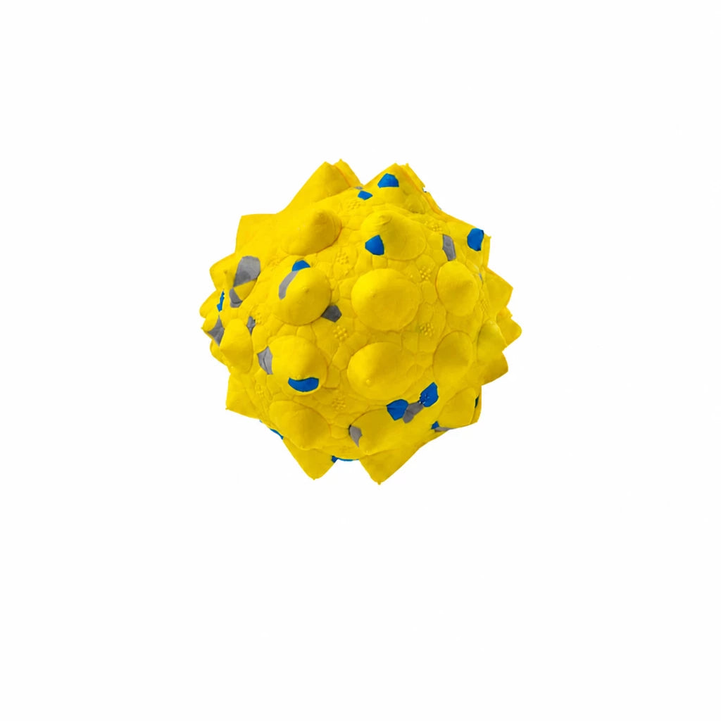 Sea Urchin Ball Dog Toy