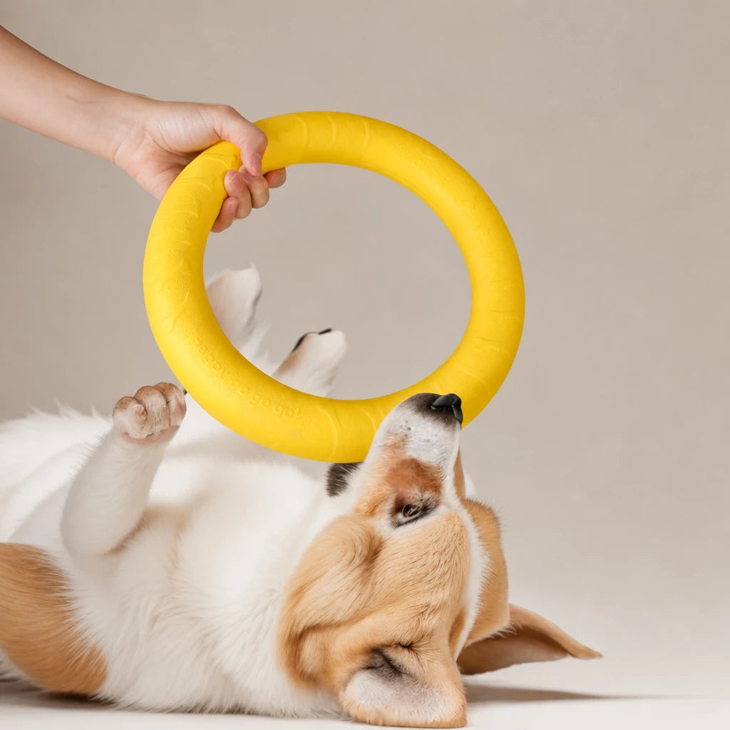 Silicone Dog Ring Toy for Fetch and Tug Play