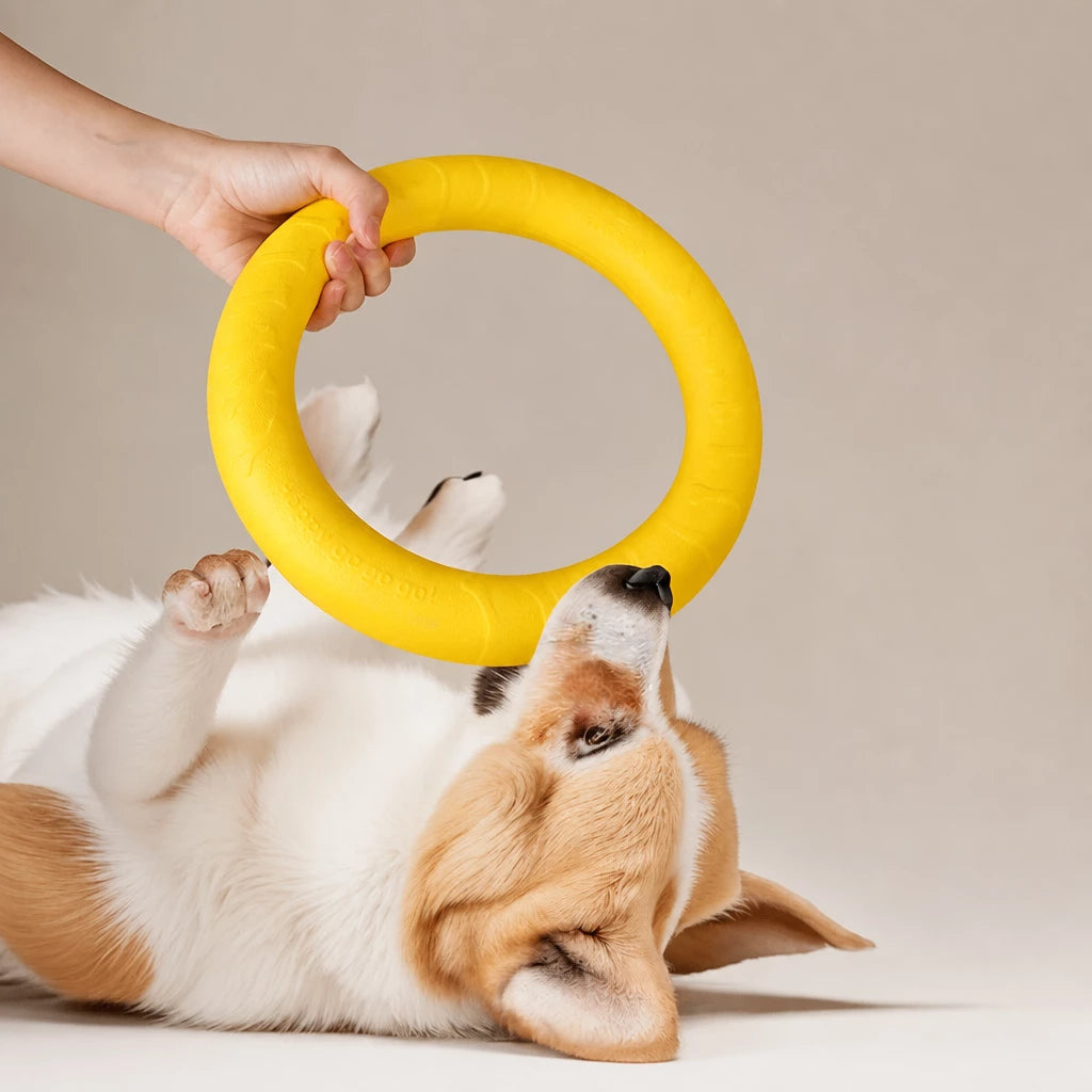 Silicone Dog Ring Toy for Fetch and Tug Play