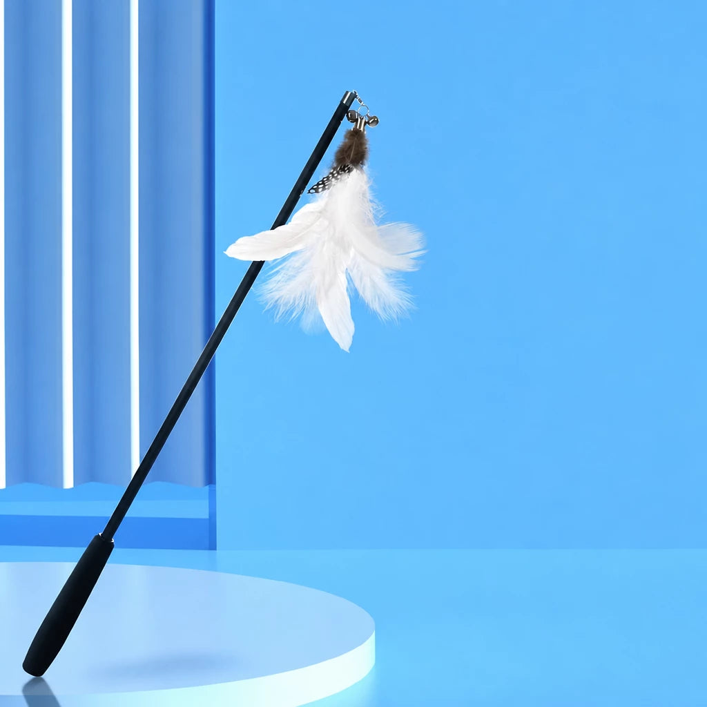 Cat Teaser Wand with Interchangeable Feather Attachments