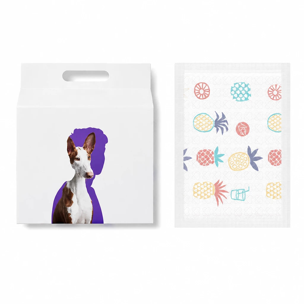 Absorbent Dog Training Pads for Indoor Potty Training