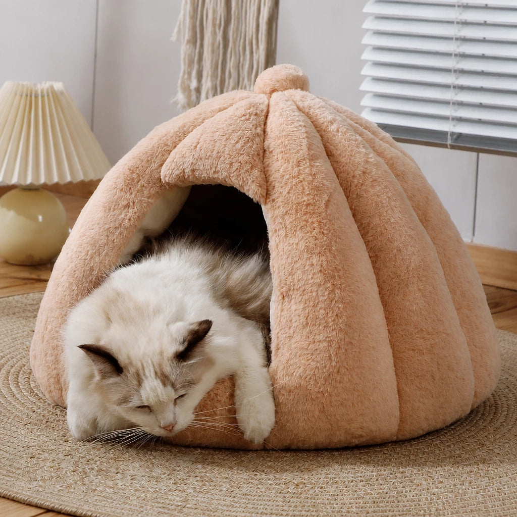 Enclosed Tent Bed for Cats and Small Dogs