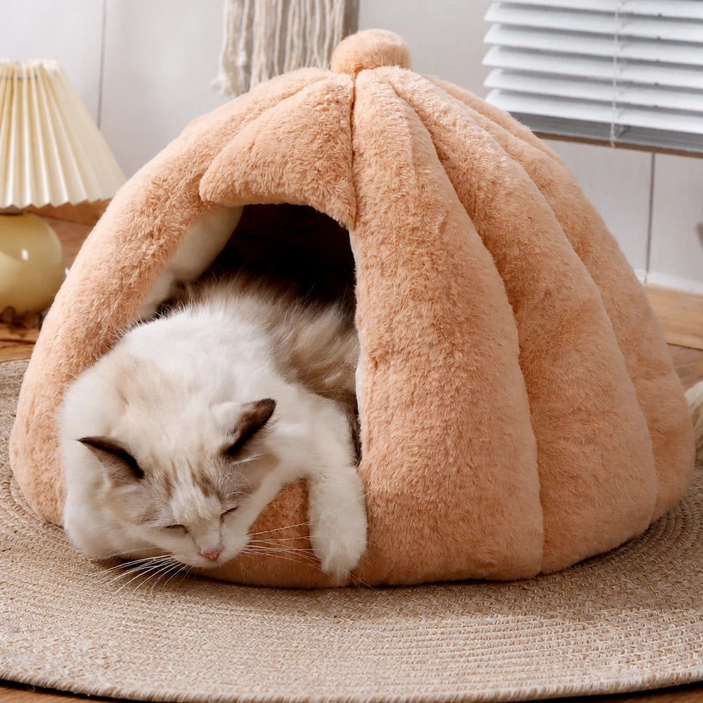 Enclosed Tent Bed for Cats and Small Dogs
