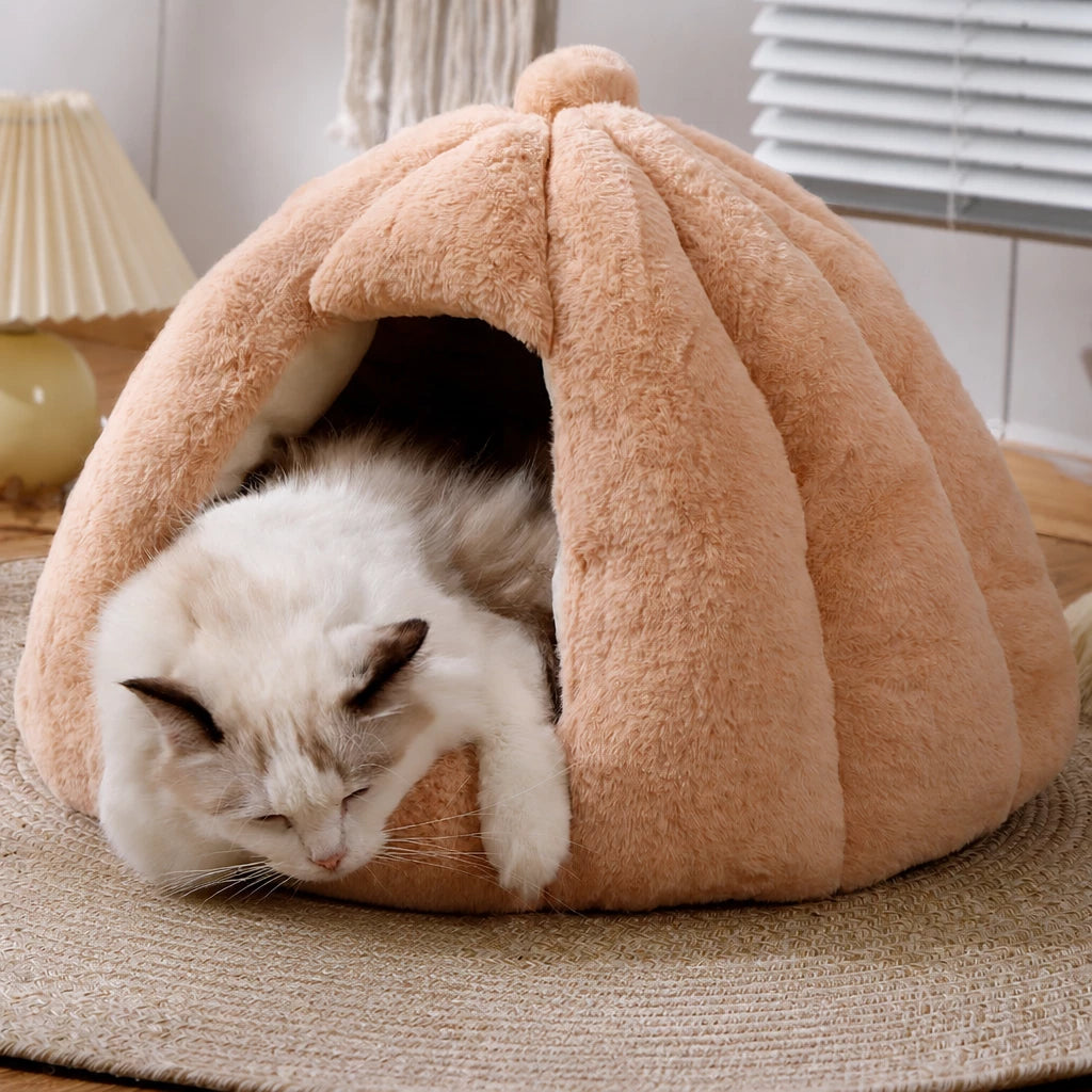 Enclosed Tent Bed for Cats and Small Dogs