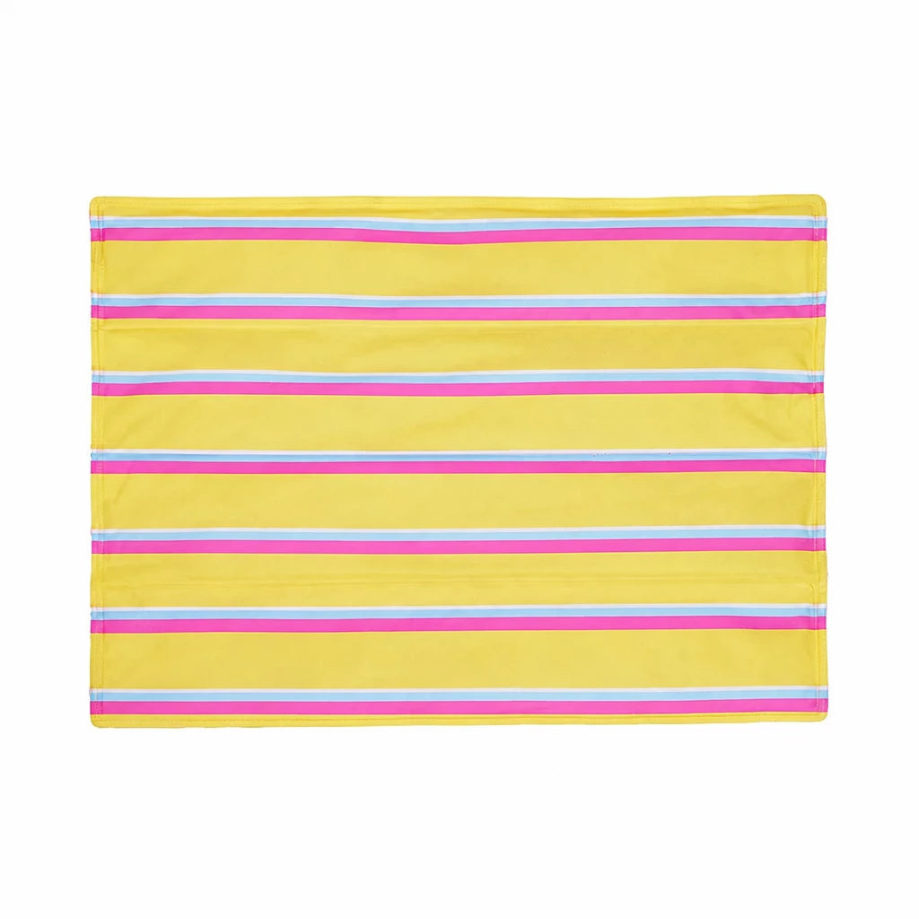 Striped Pet Mat for Dogs and Cats