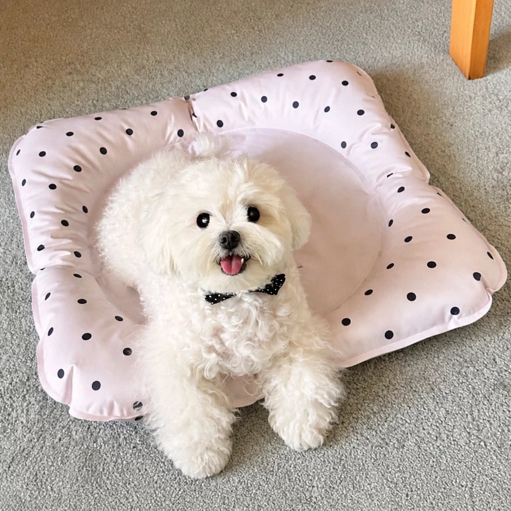 Water-Resistant Pet Rest Mat for Dogs