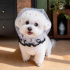 Breathable Mesh Dog Muzzle for Small to Medium Dogs
