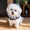 Breathable Mesh Dog Muzzle for Small to Medium Dogs