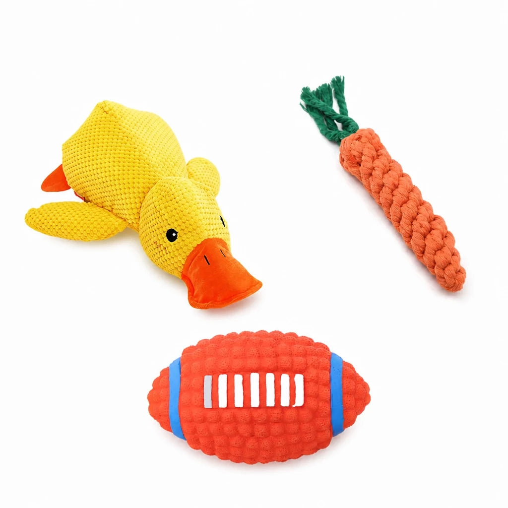 Plush Squeaky Dog Toys